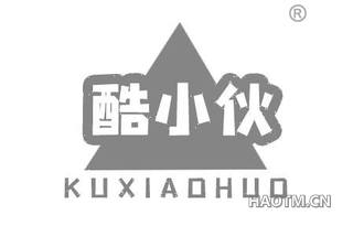 酷小伙