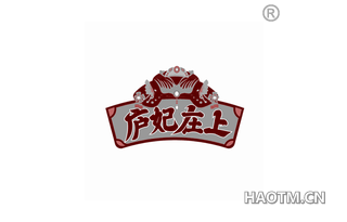 庐妃在上