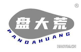 盘大荒