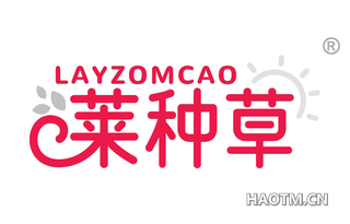 莱种草 LAYZOMCAO