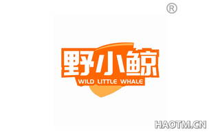 野小鲸 WILD LITTLE WHALE
