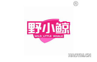 野小鲸 WILD LITTLE WHALE