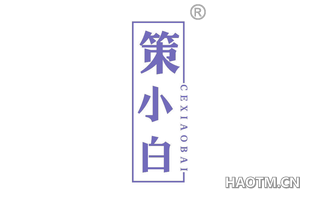 策小白