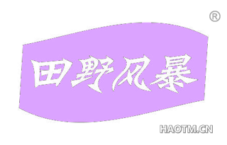 田野风暴