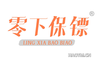 零下保镖