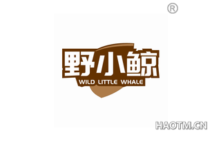 野小鲸 WILD LITTLE WHALE