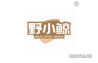 野小鲸 WILD LITTLE WHALE