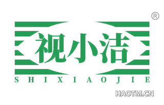 视小洁