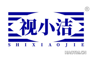 视小洁
