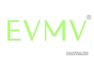  EVMV