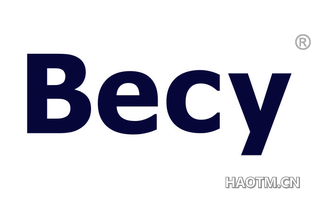  BECY