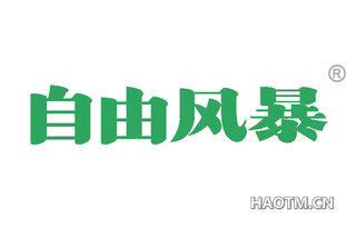 自由风暴