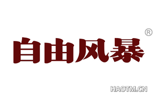 自由风暴