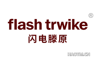 闪电滕原 FLASH TRWIKE