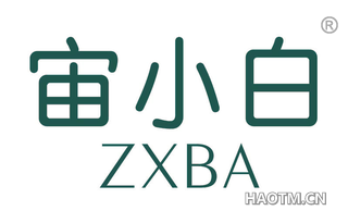 宙小白 ZXBA