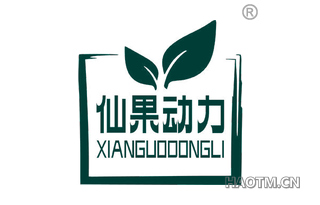 仙果动力