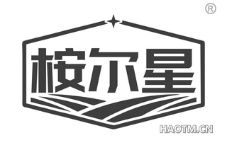 桉尔星