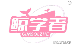 鲸学者 GIMSOLZHE