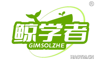 鲸学者 GIMSOLZHE