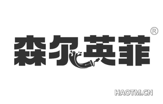 森尔英菲