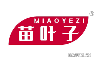 苗叶子