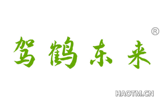 驾鹤东来 