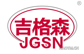 吉格森 JGSN