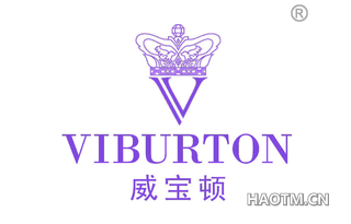 威宝顿 VIBURTON