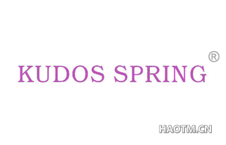 KUDOS SPRING