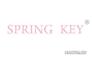 SPRING KEY