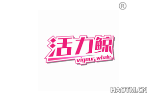 活力鲸 VIGOUR WHALE