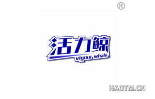 活力鲸 VIGOUR WHALE