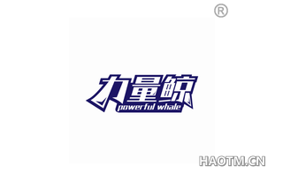 力量鲸 POWERFUL WHALE