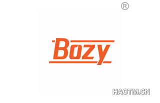 BOZY