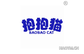 抱抱猫 BAOBAO CAT