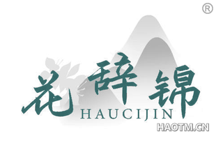花辞锦 HAUCIJIN