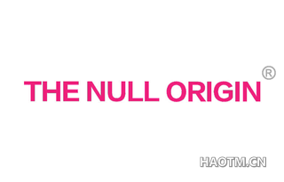 THE NULL ORIGIN