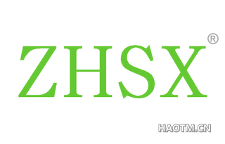  ZHSX