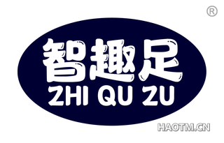 智趣足
