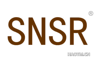  SNSR