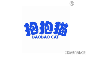 抱抱猫 BAOBAO CAT