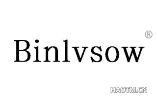  BINLVSOW