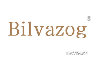  BILVAZOG