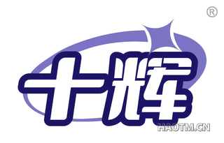 十辉