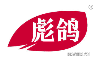 彪鸽