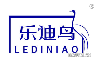 乐迪鸟