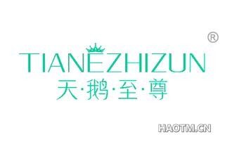 天鹅至尊