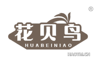 花贝鸟