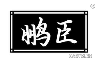 鹏臣