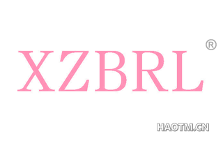 XZBRL